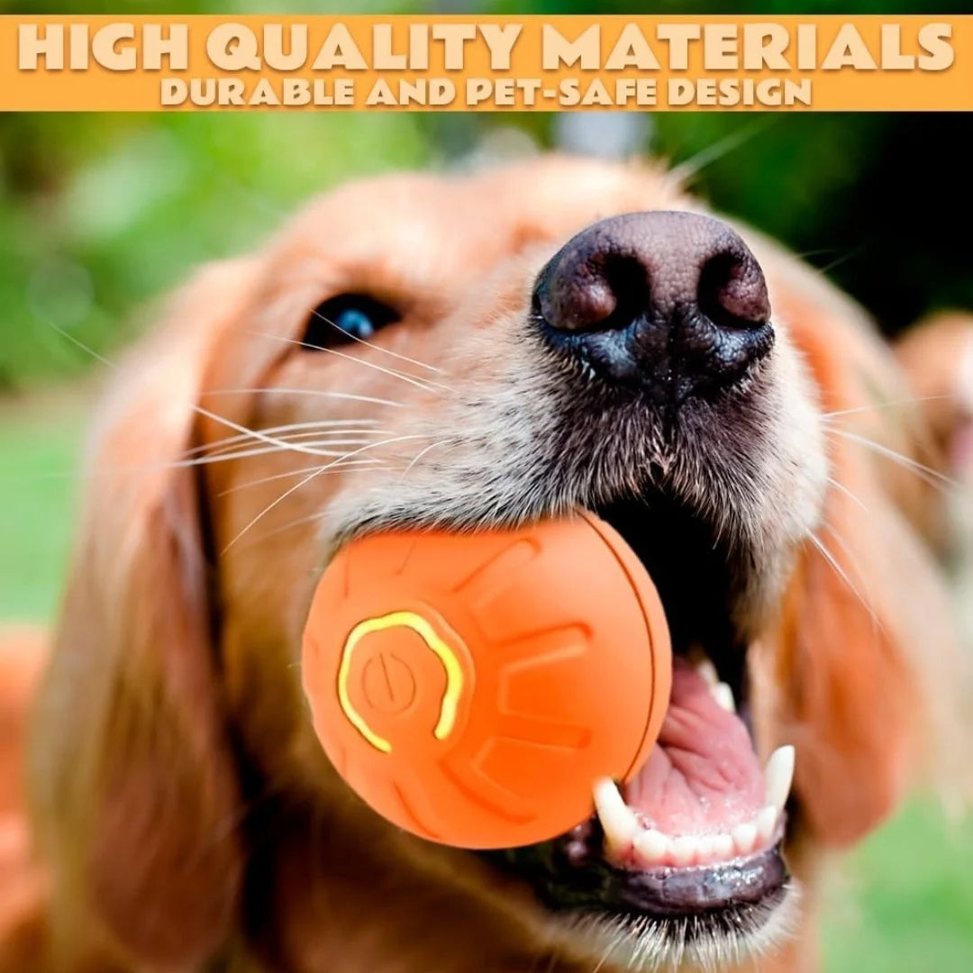 Smart Bouncing Pet Ball Toy With Random Motion For Pets