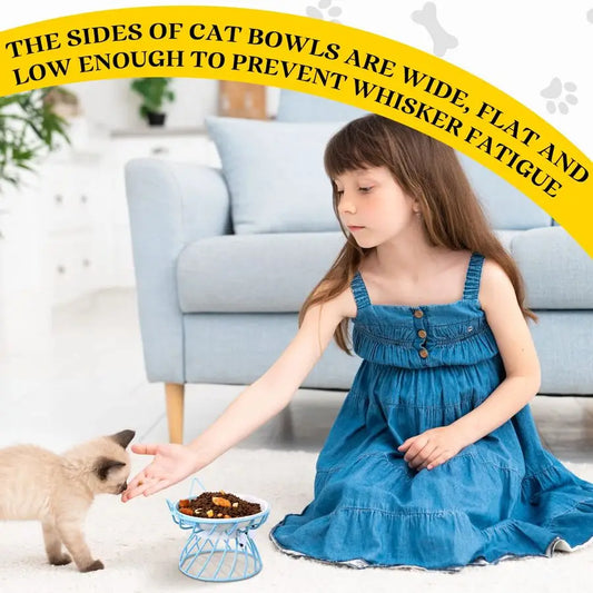 Cat Feeder, 4 Pcs Elevated Ceramic Cat Bowls with Metal Stand, Whisker