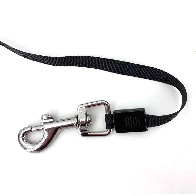 Retractable Dog Leash Automatic Flexible For Small Dogs