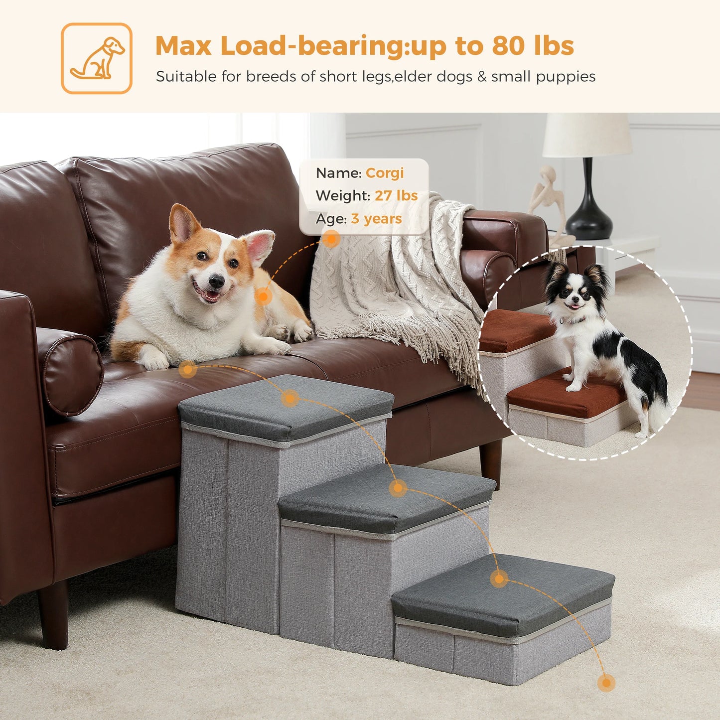 Foldable 3-Tier Dog Stairs with Storage for Easy Access