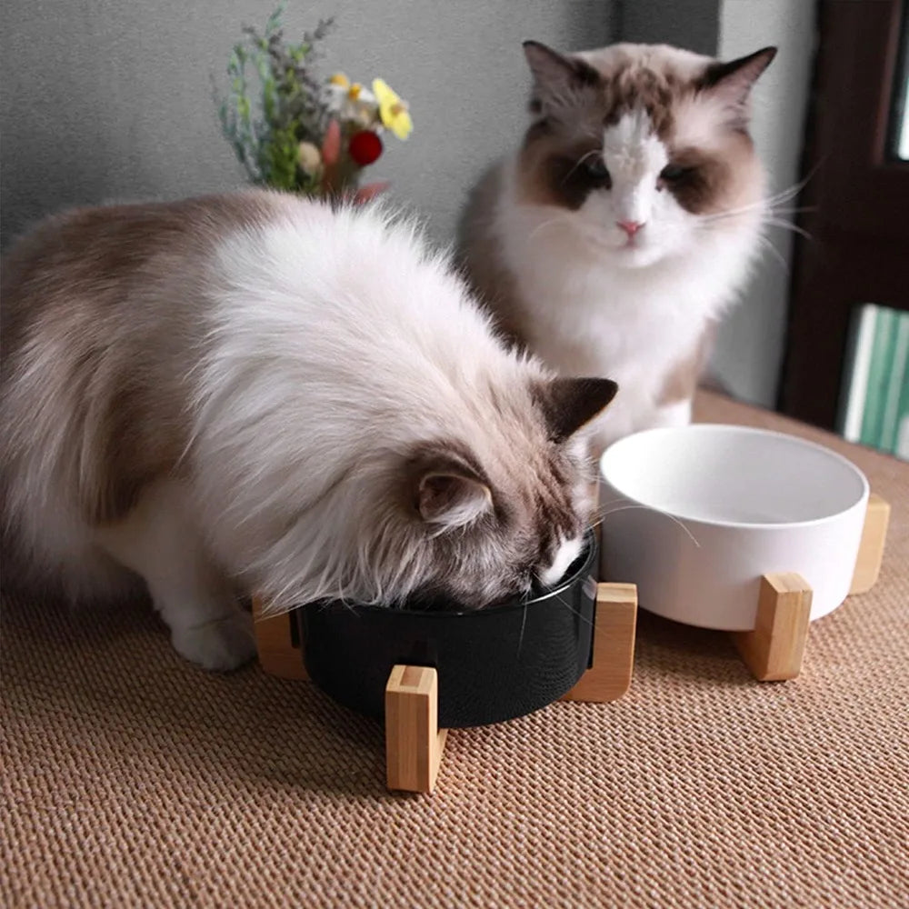 Ceramic Cat And Dog Bowls Set With Stand Anti Slip