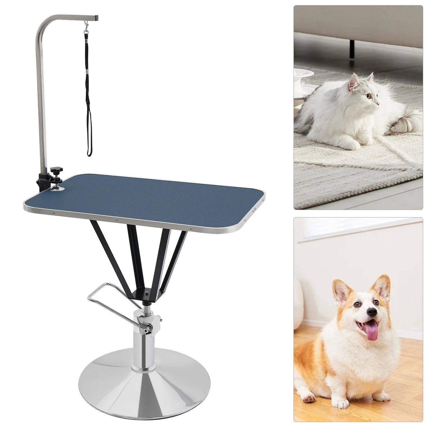 Hydraulic Pet Grooming Table with 360 Degree Swivel Top