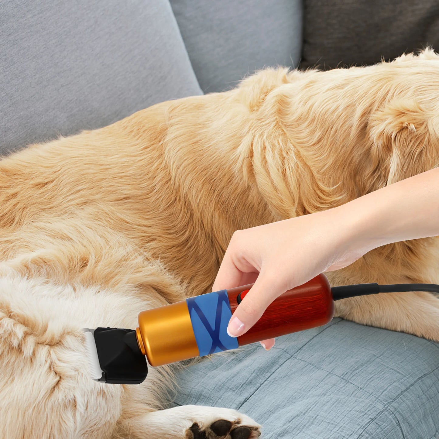 Low Noise Pet Hair Clipper With Variable Speed Professional