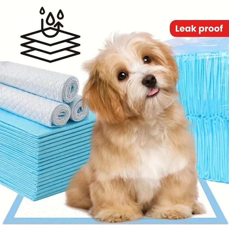 Dog Pee Pads for Potty Training with Quick-Dry Technology