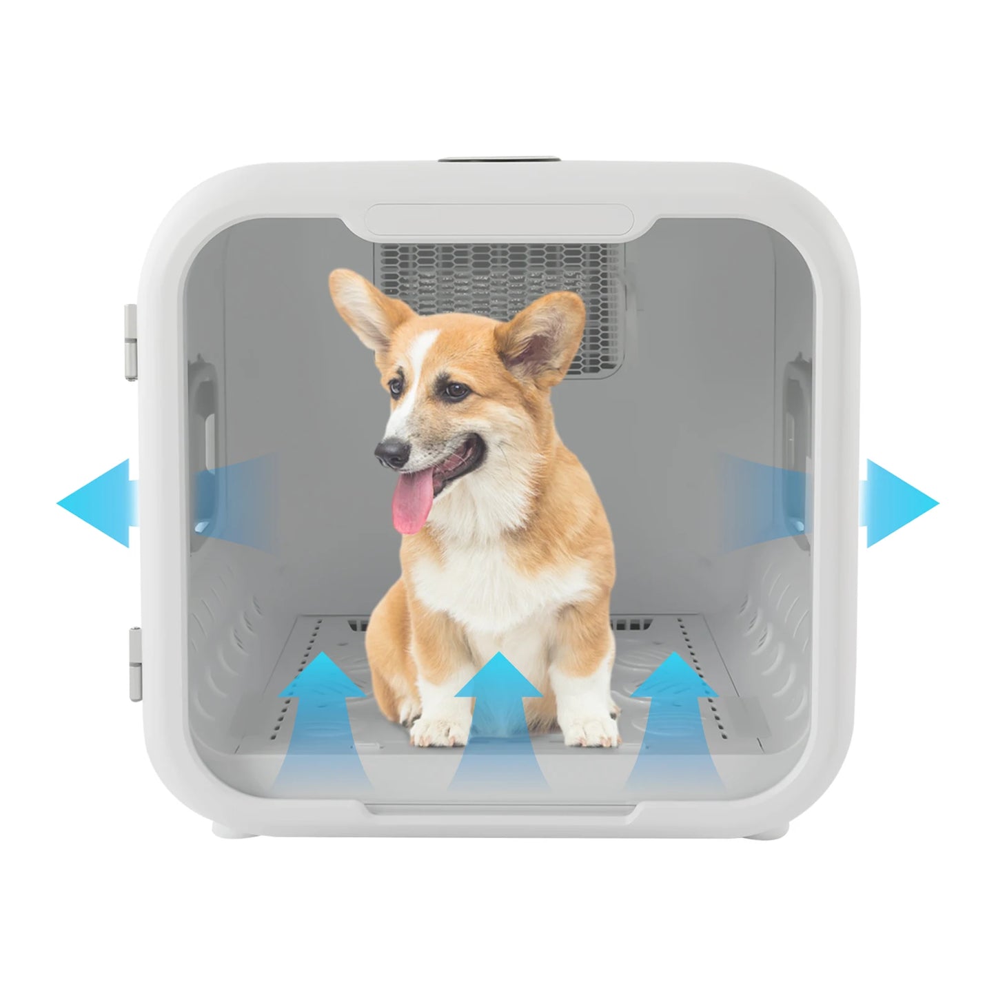 800W Pet Dryer Box Pet Grooming Hair Dryer Pet Force Dryer 