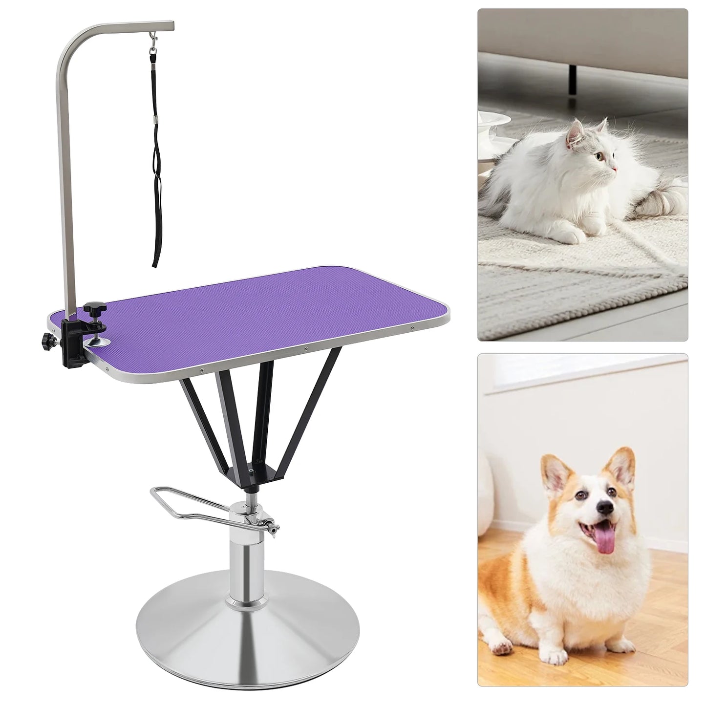 Hydraulic Pet Grooming Table with 360 Degree Swivel Top