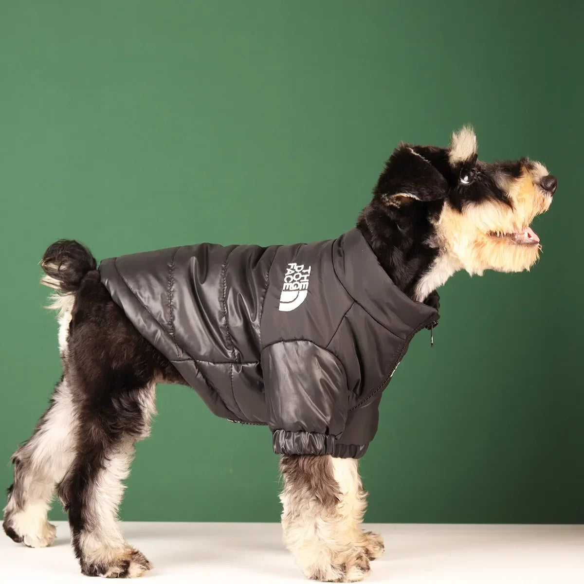 Winter Windproof Reflective Dog Coat for All Breeds