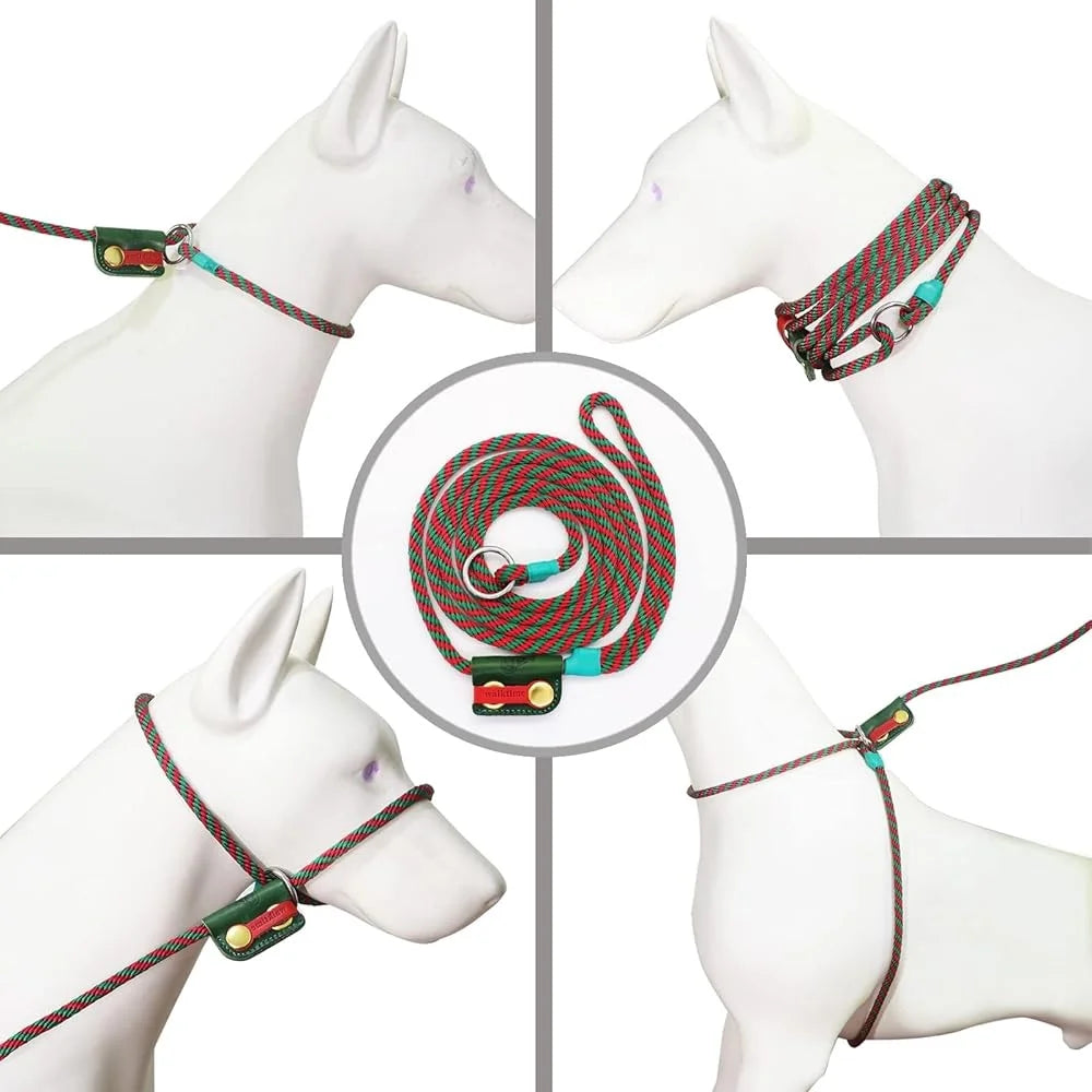 Slip Lead Dog Leash Set No Pull Harness Gentle Collar Training Rope Leash Adjustable Pet Walking Scarf Multi Functional Leash