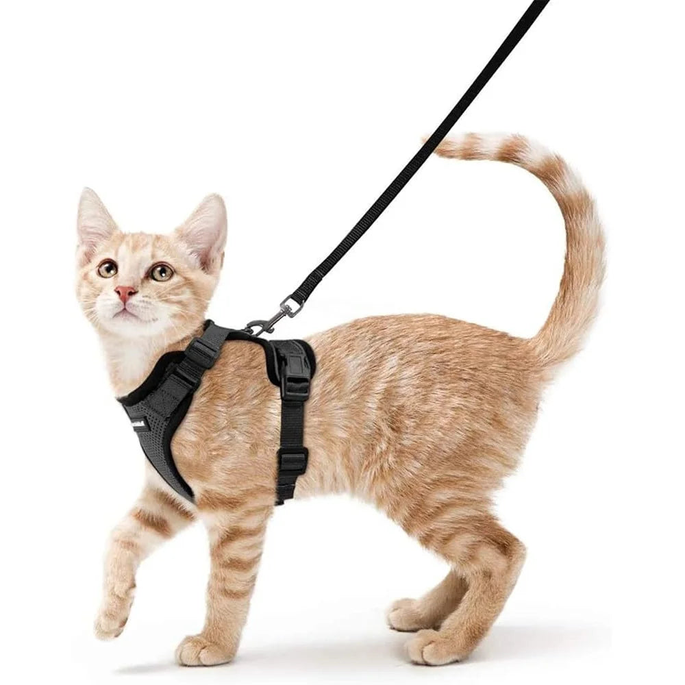 Escape Proof Cat Harness and Leash Soft Adjustable Breathable Vest Heavy Duty Easy Control Outdoor Training