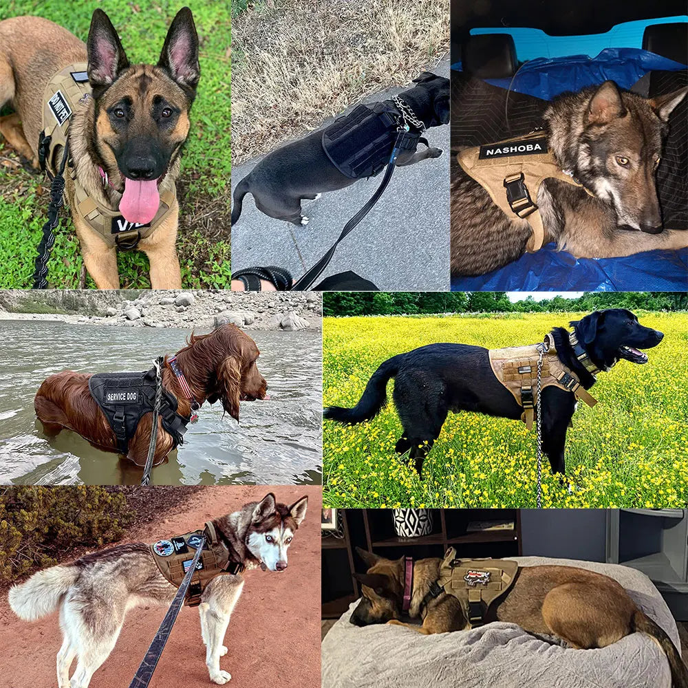 Large Dog Harness And Leash Set Pet German Shepherd Malinois  