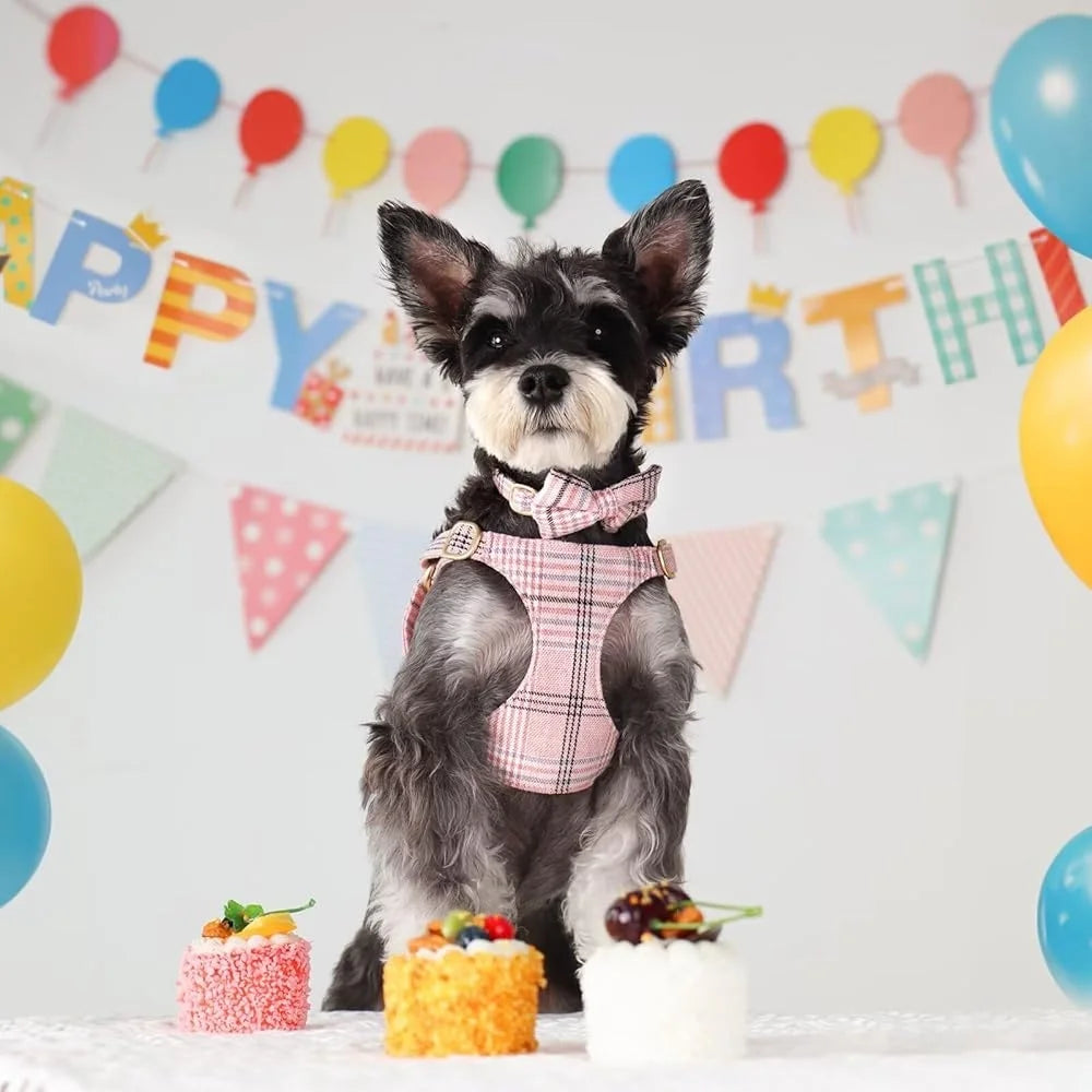 Cute Small Dog Harness Collar Leash Set Adjustable Soft Plaid Design for Extra Small Dogs and Cats