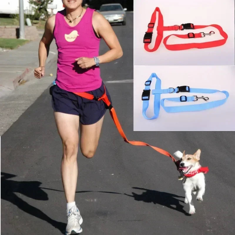 Adjustable Belt Traction Walking Pet Lead with Free Rope for Cats and Dogs Jogging Supplies and Leash for All Seasons