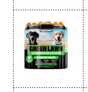 Daily Wellness Health Supplement for Immune Support