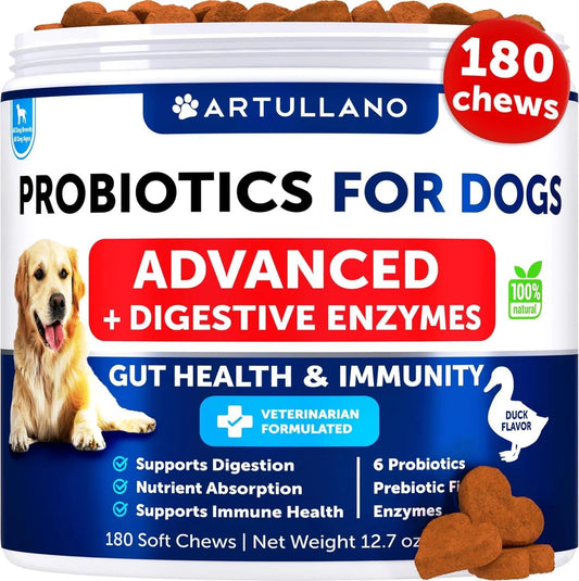 Probiotic Dog Chews For Immune Support And Digestive Health