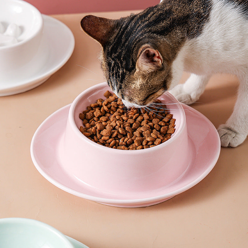 Anti Choke Slow Feeder Pet Bowl For Cats And Canines