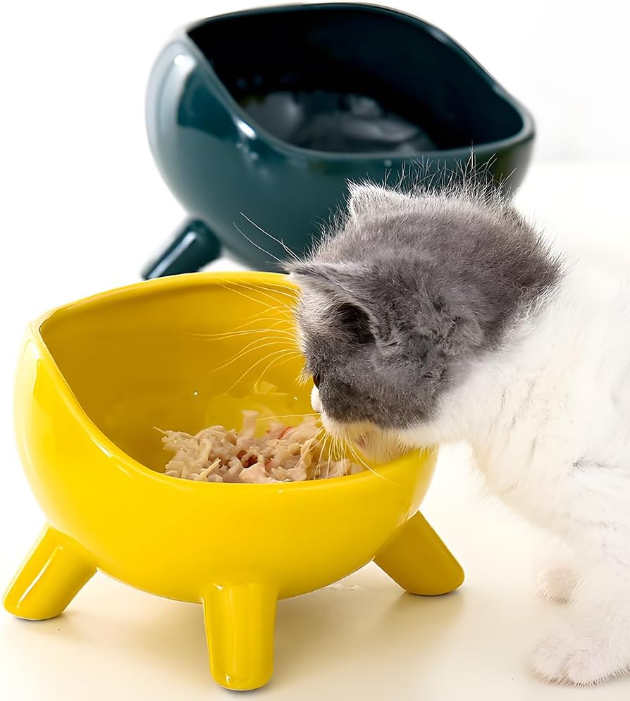 Sturdy Round Arc Ceramic Cat And Small Dog Food Bowl
