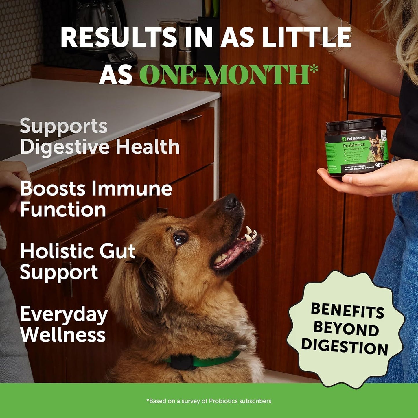Youmile Probiotics for Dogs Soft Chews Seasonal Allergies Digestive Health