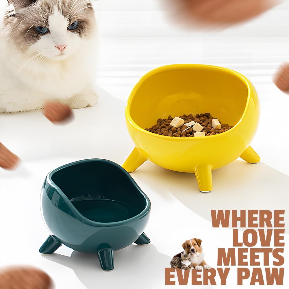 Sturdy Round Arc Ceramic Cat And Small Dog Food Bowl