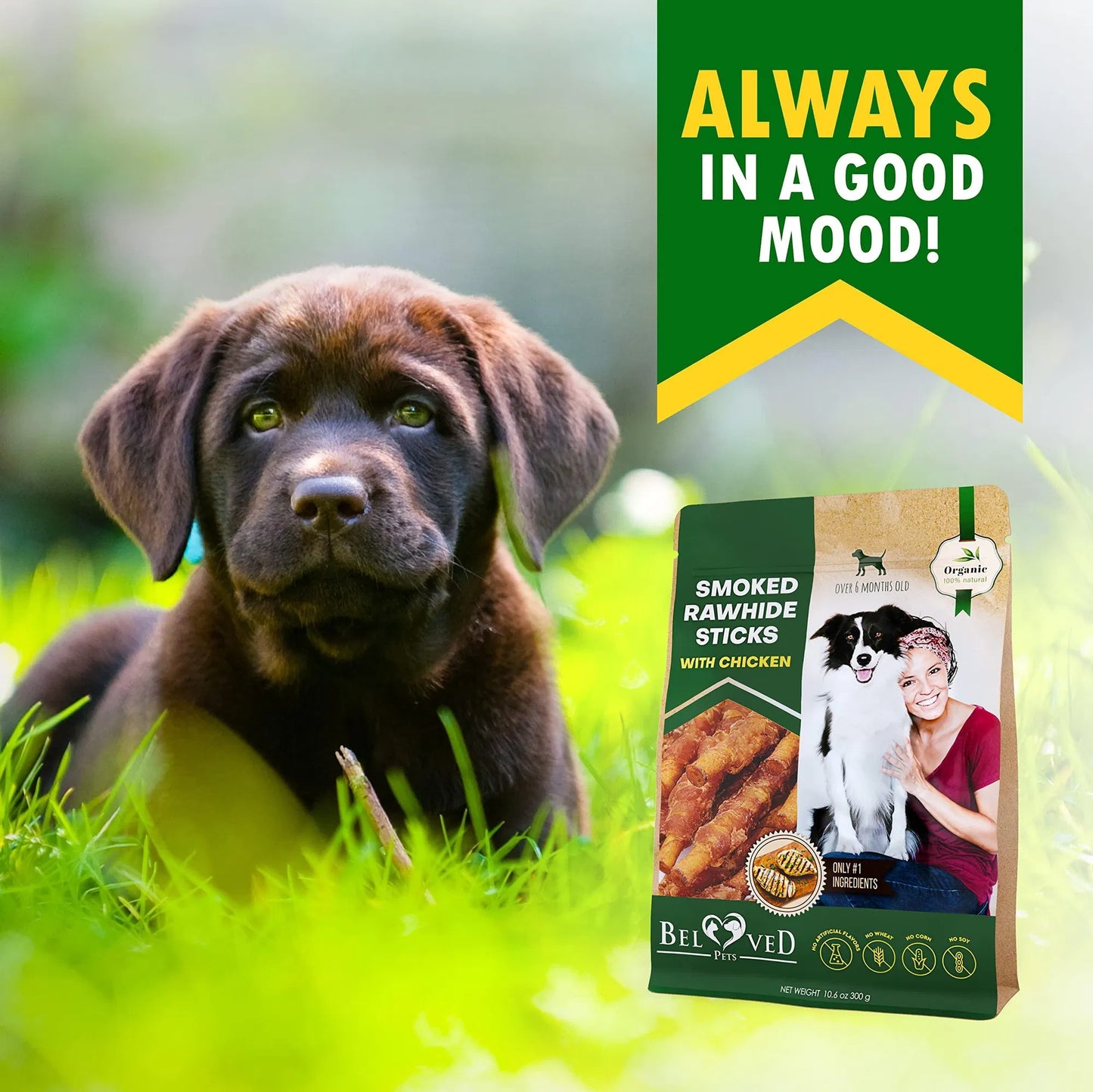 Smoked Rawhide Sticks Wrapped Chicken Treats For Dogs Grain Free