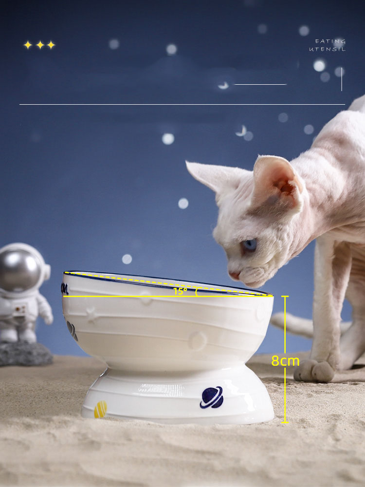 Planet Print Ceramic Cat Food Bowl With Slanted Design