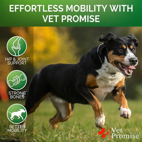 Glucosamine For Dogs With Chondroitin Hip Joint Chews